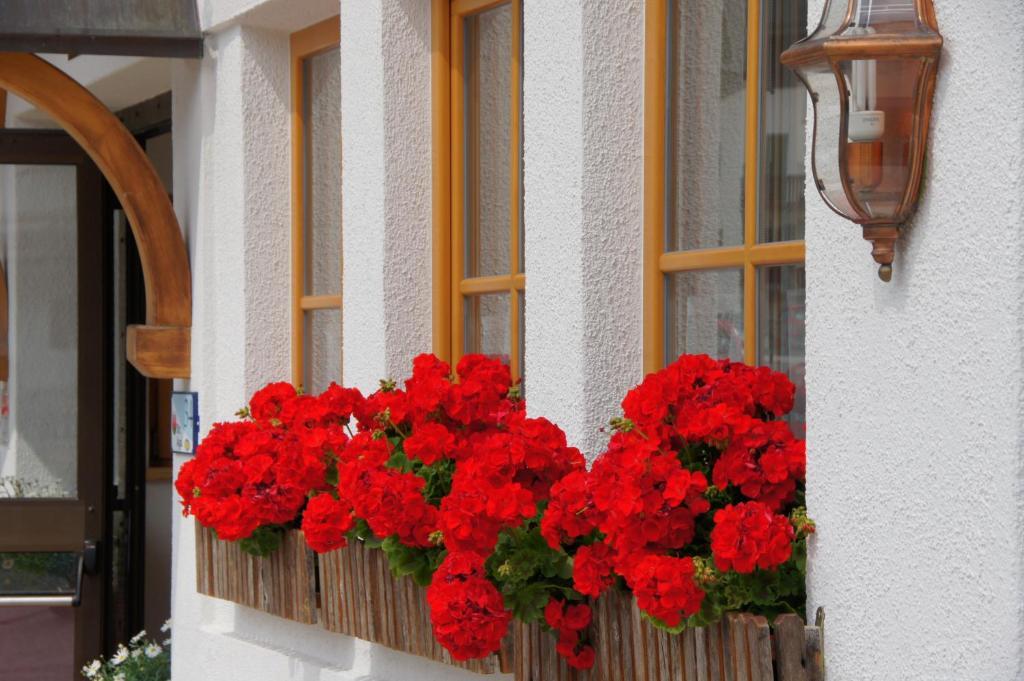 Garni Tofana Hotel Corvara In Badia Exterior photo